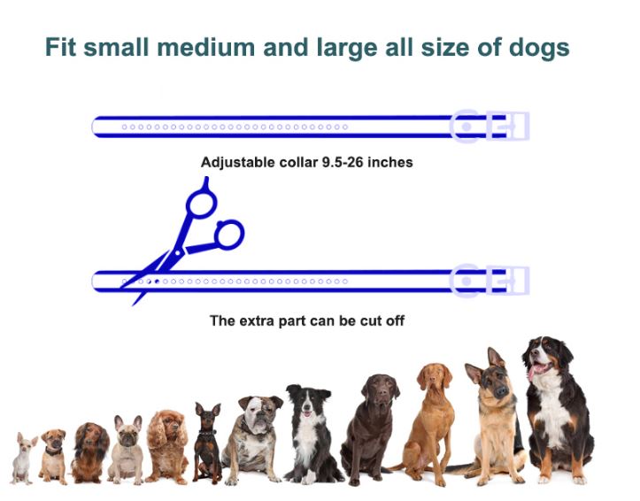 2 in 1 bark & remote training collar measurement size guide