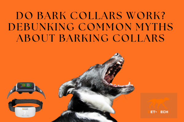 Do Bark Collars Work? Debunking Common Myths About Barking Collars