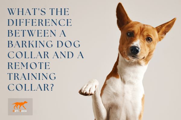 Graphic of a dog with text about barking vs training collars