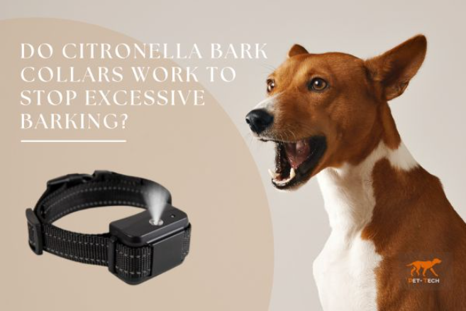DO CITRONELLA BARK COLLARS WORK TO STOP EXCESSIVE BARKING?