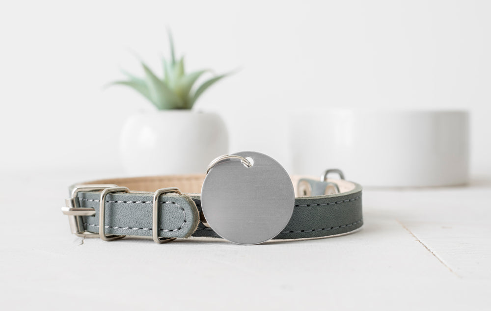 dog collar with round tag