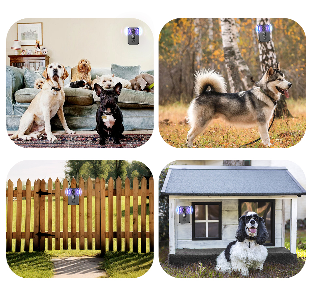 Ultrasonic Dog House (automatic)