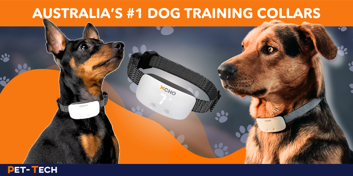 Pet Tech Pet Tech