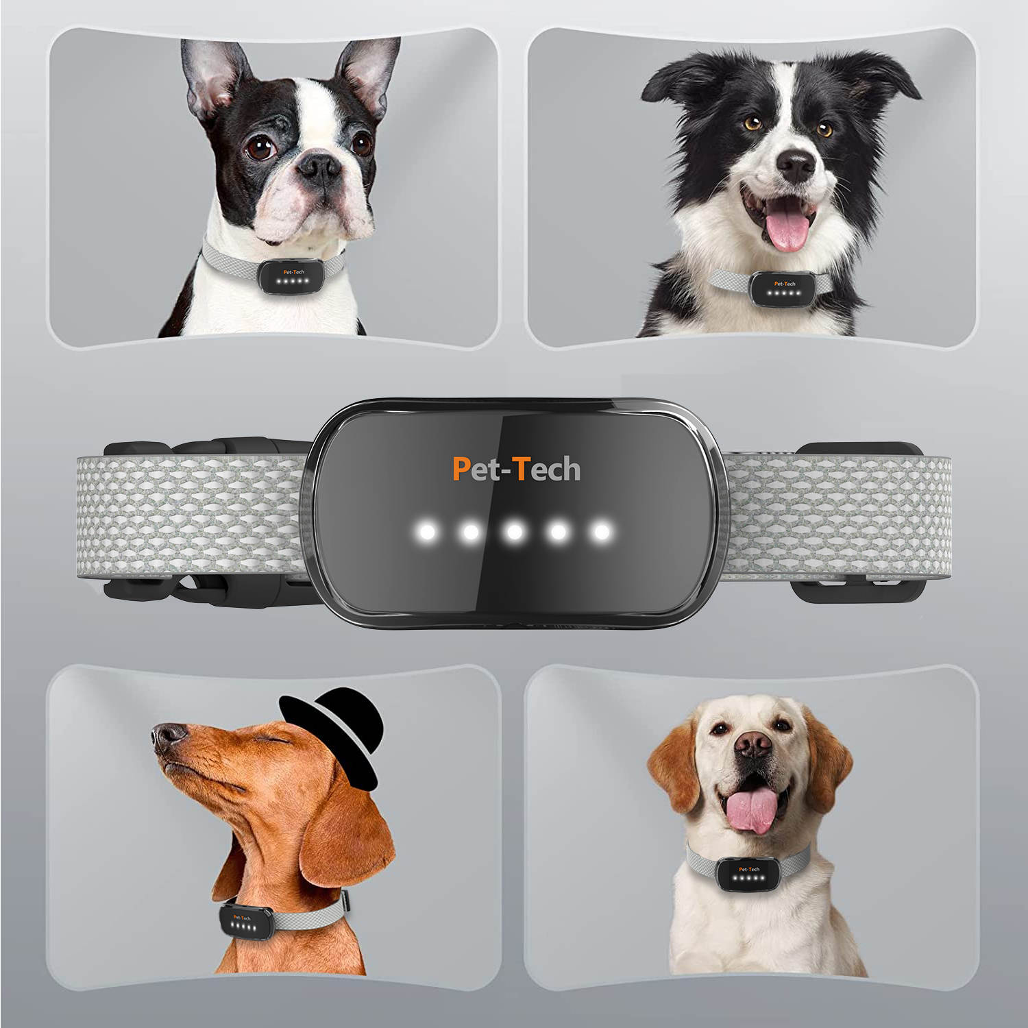 PTC-005 Smart Collar