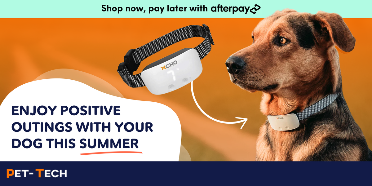 Pet tech pt0z1 online