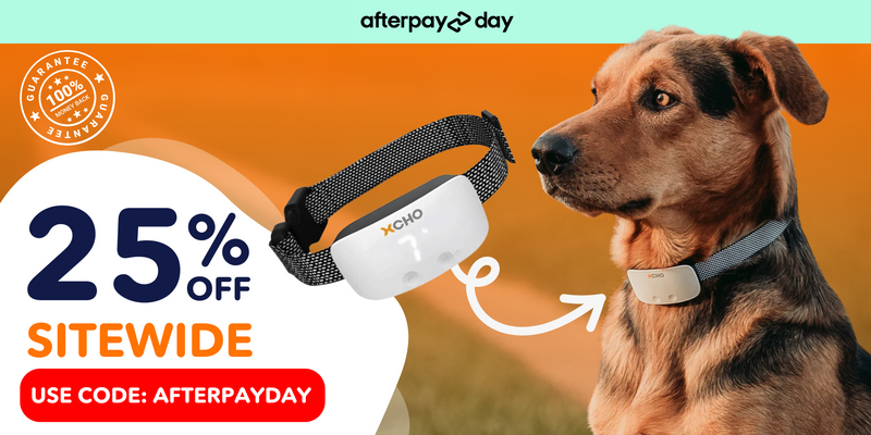 Petstock online citronella collar