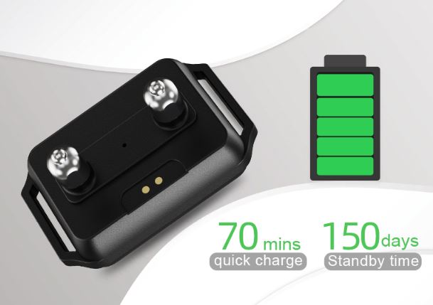 back view of Pet-Tech B800 Intelligent Bark Control Collar