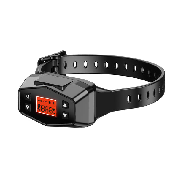 pet tech's f800 boundary dog collar front view