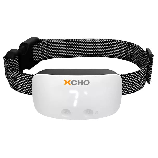 front view of XCHO white bark collar
