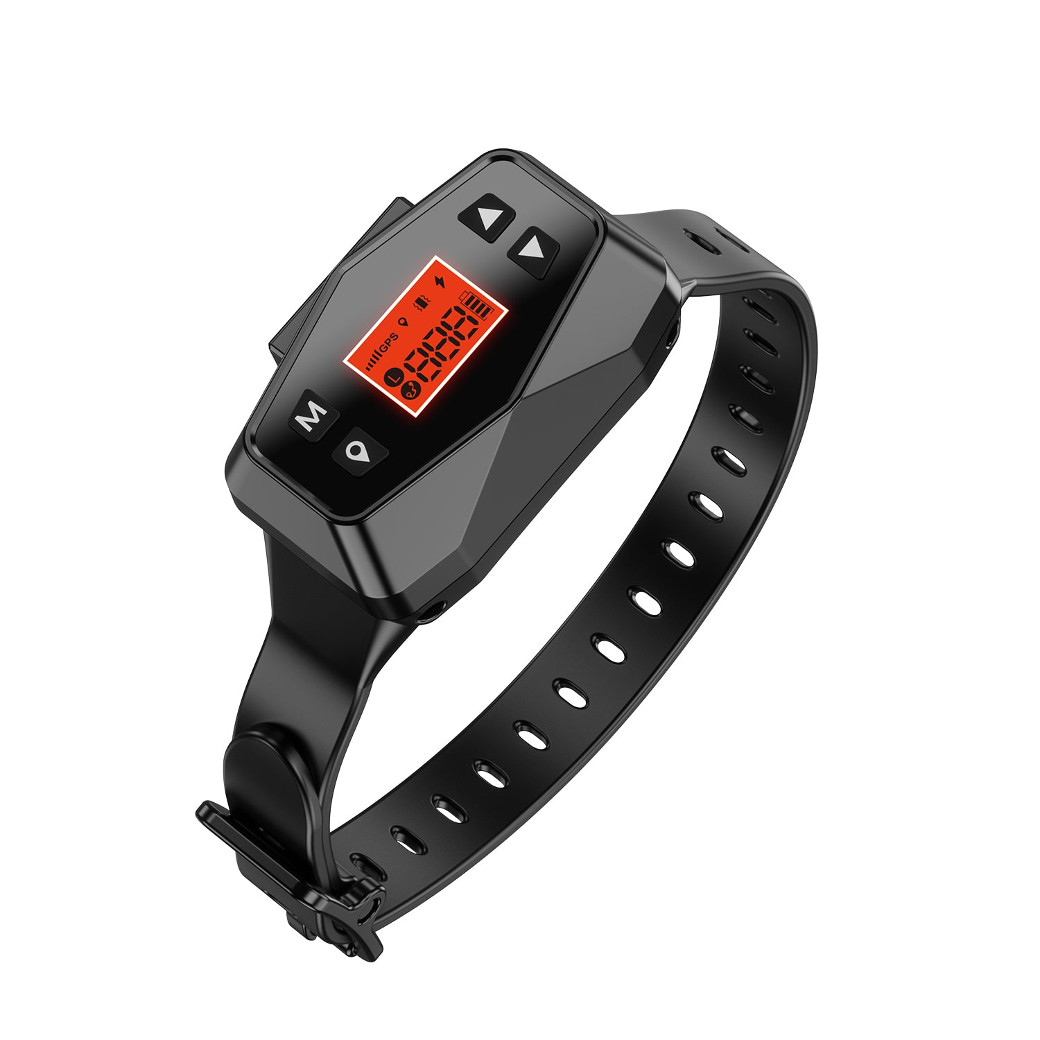 pet tech's f800 boundary dog collar top view