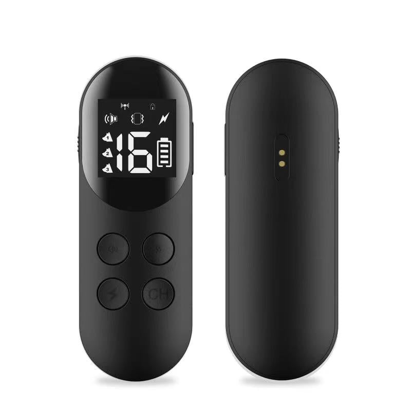 PT200 Premium Waterproof Remote Trainer