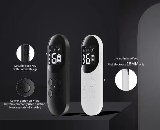PT200 Premium Waterproof Remote Trainer