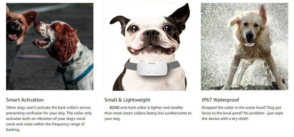 XCHO Bark Collar