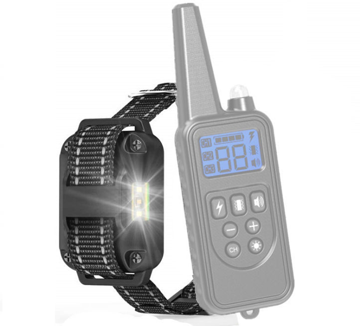 spare receivers for pt430 remote training collar