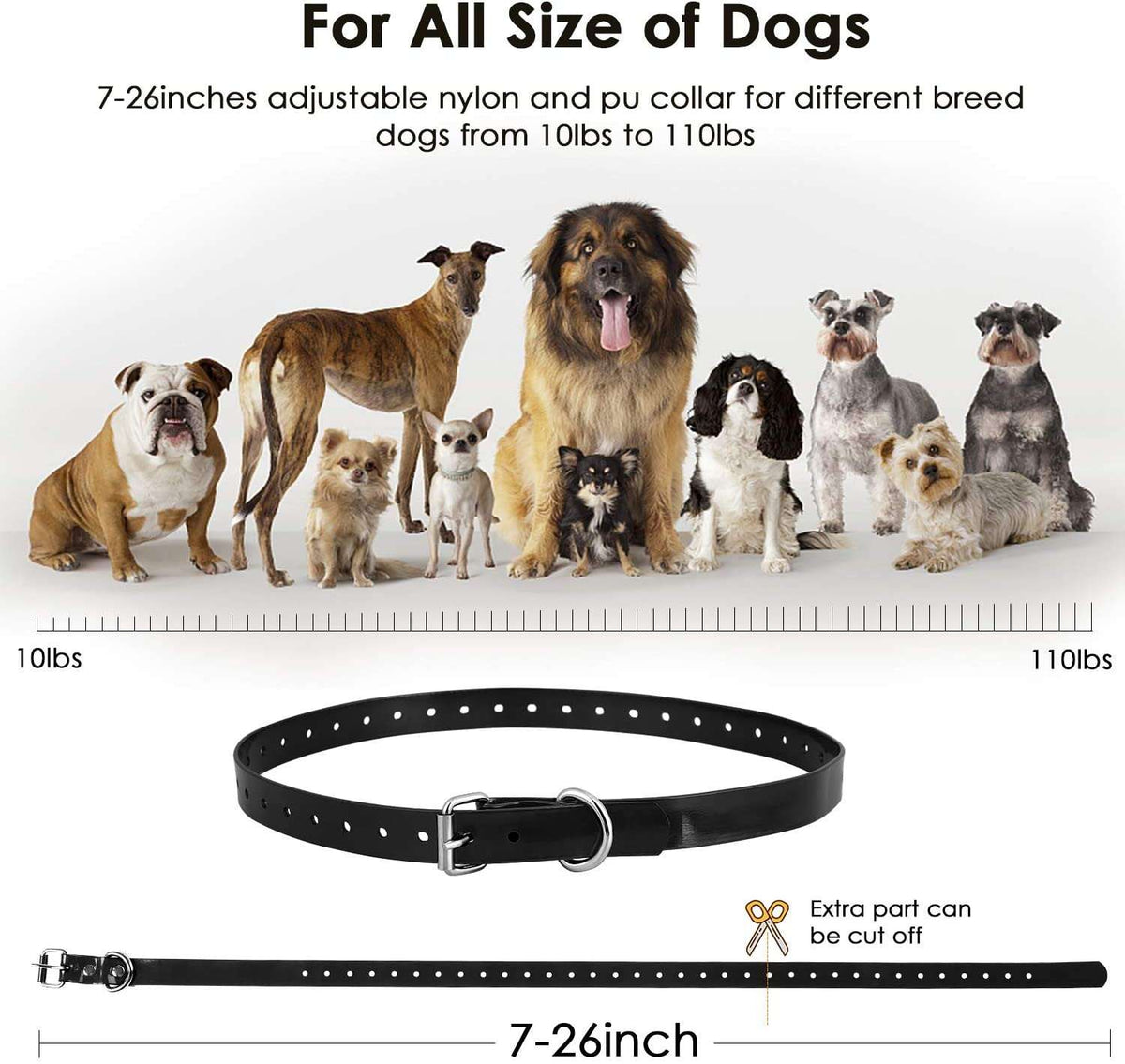 PT430 Remote training collar 1 3 dogs