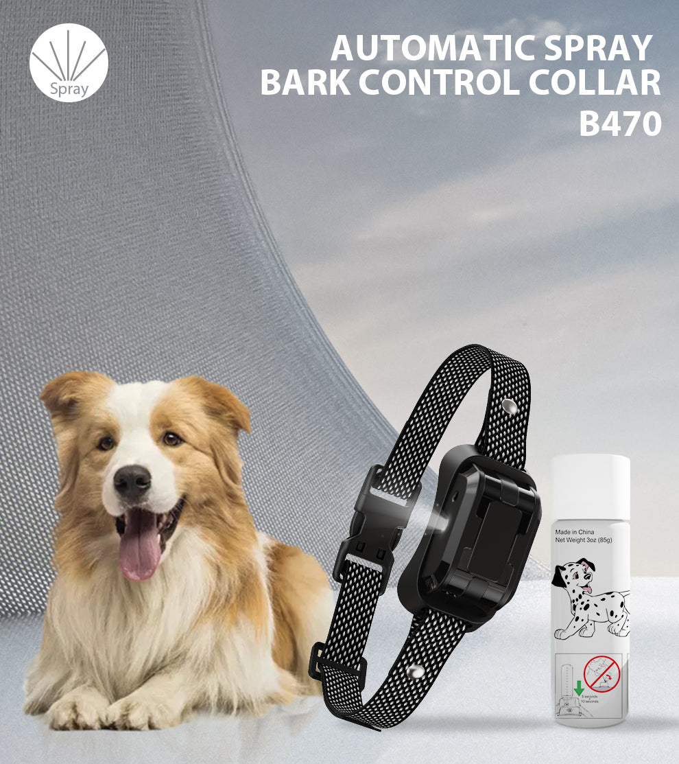 a dog sitting beside a c470 citronella sound & spray collar
